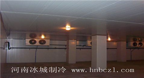 武陟速冻冷库